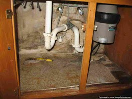 mold growth under sink Mold Test KC mold testing and inspection in Kansas City